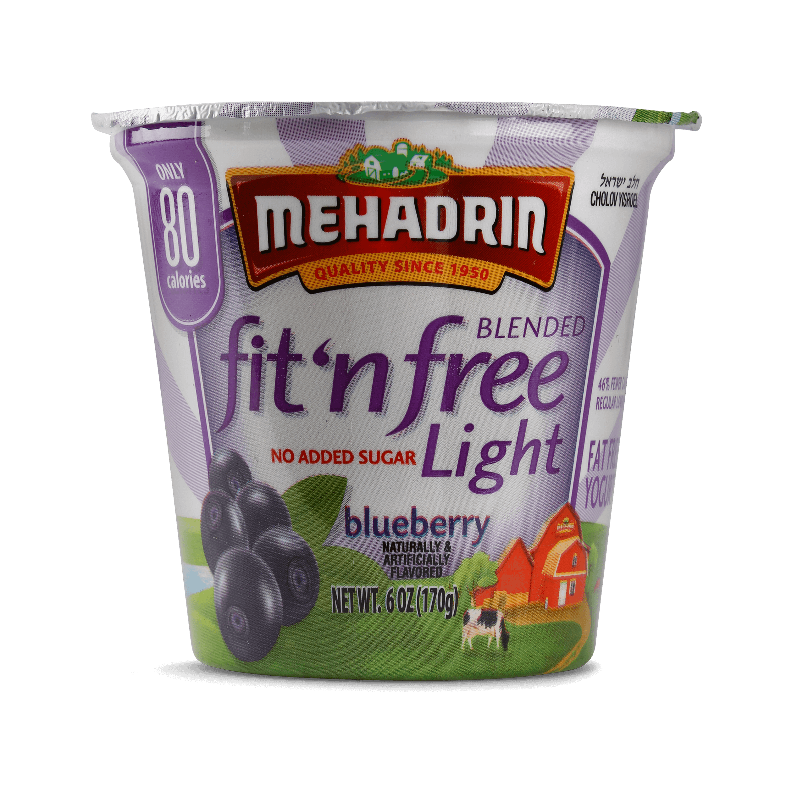 Blueberry Fit ‘n’ Free Yogurt, 6 Oz.