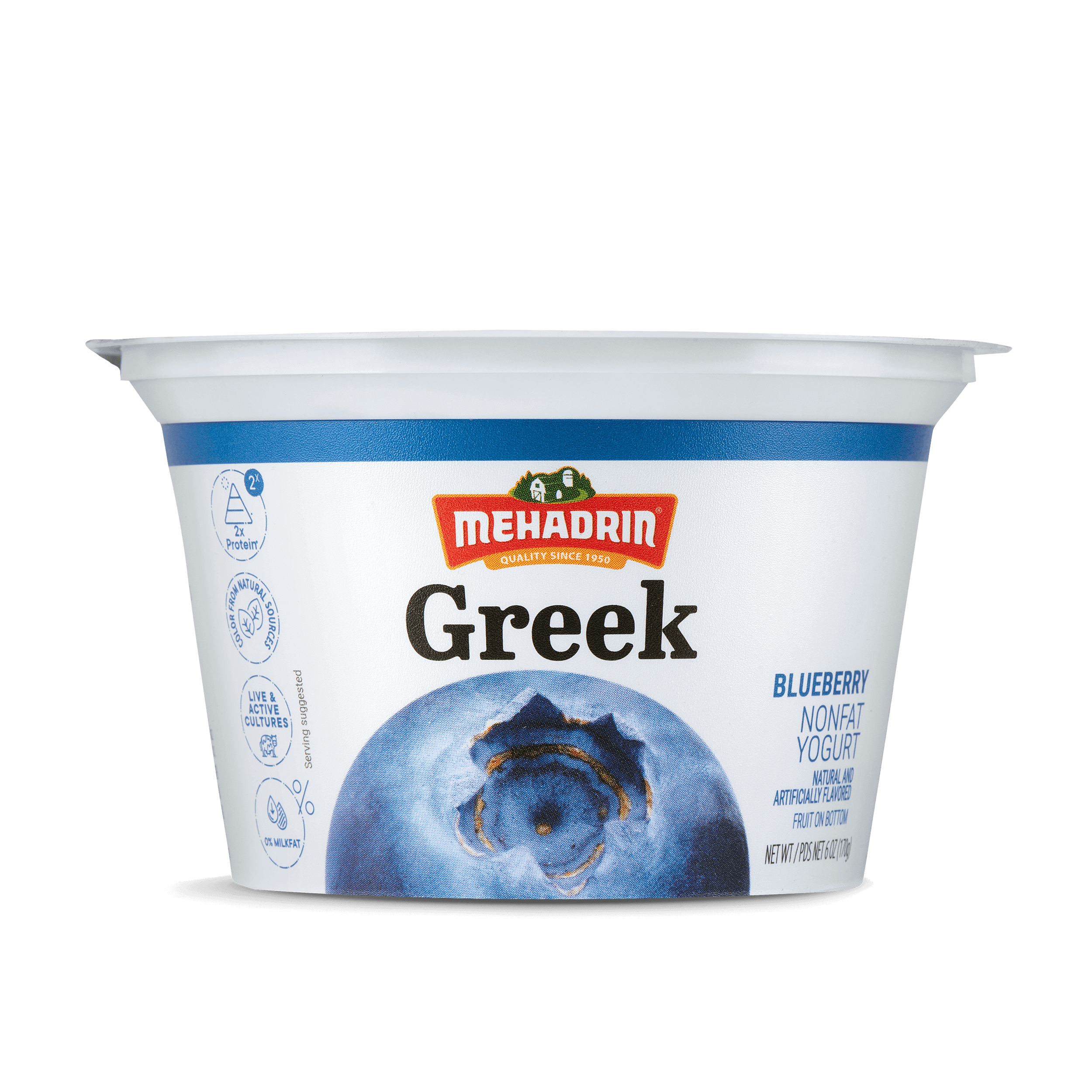 Blueberry Greek Yogurt, 6 Oz.